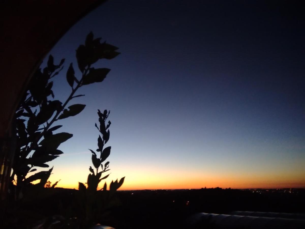 Pessego - Al Villa Arouca Buitenkant foto