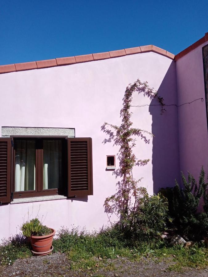 Pessego - Al Villa Arouca Buitenkant foto